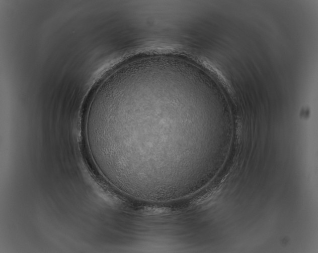 X0000091230582200708231656