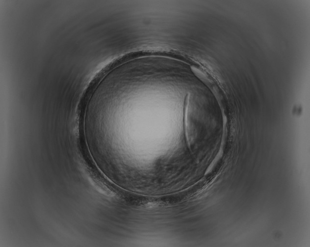 X0000091230584200708231656