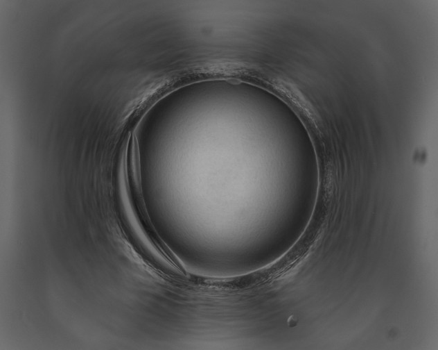X0000091230585200708231656