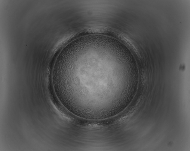 X0000091230586200708231656