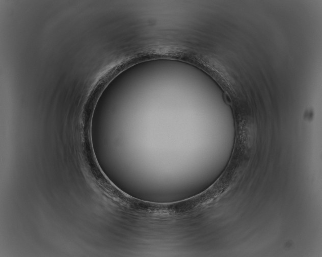 X0000091230587200708231656