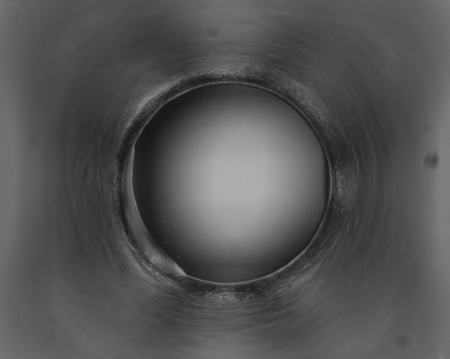 X0000091230588200708231656