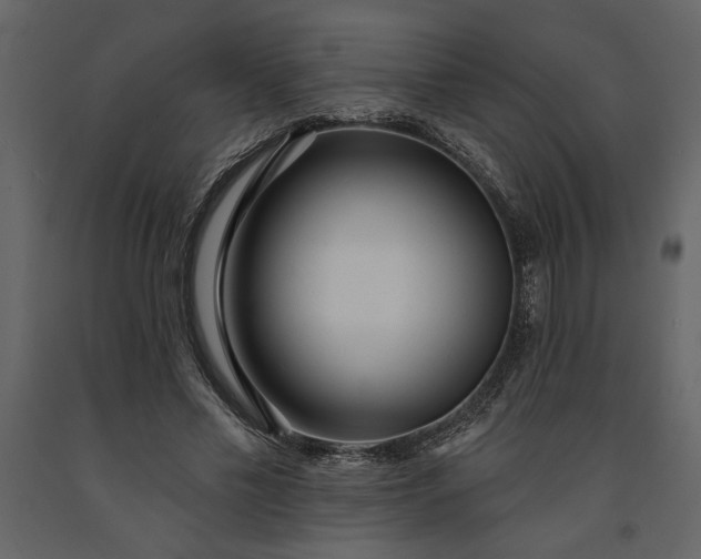 X0000091230589200708231656