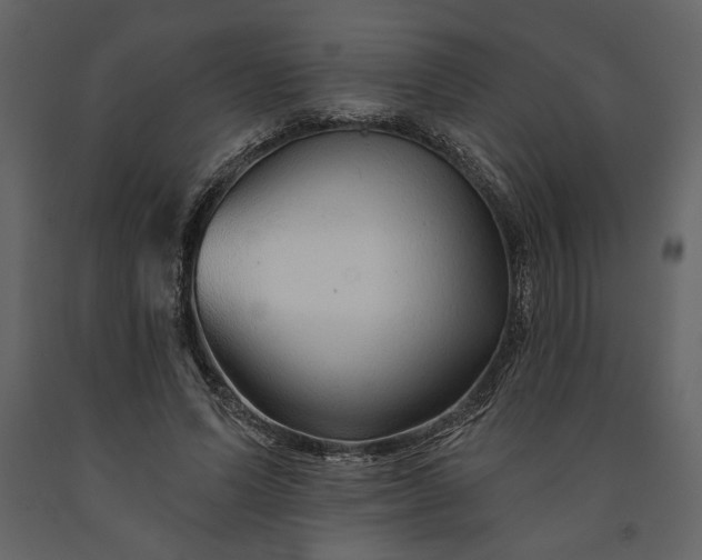 X0000091230591200708231656