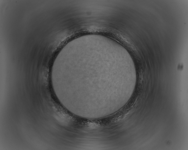 X0000091230592200708231656