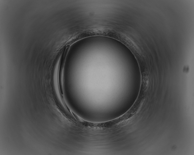 X0000091230593200708231656
