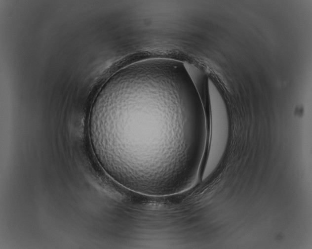X0000091230596200708231656