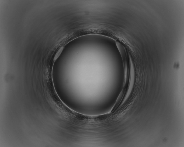 X0000091230597200708231656