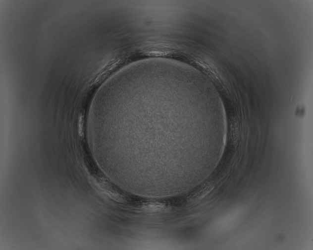 X0000091230598200708231656