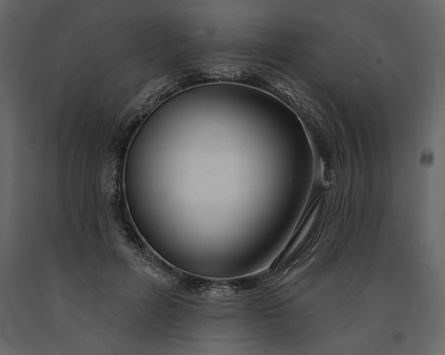 X0000091230600200708231656