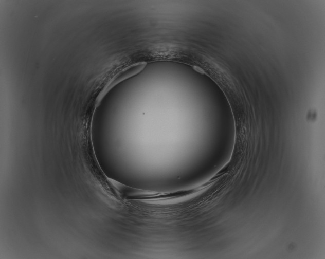 X0000091230601200708231656