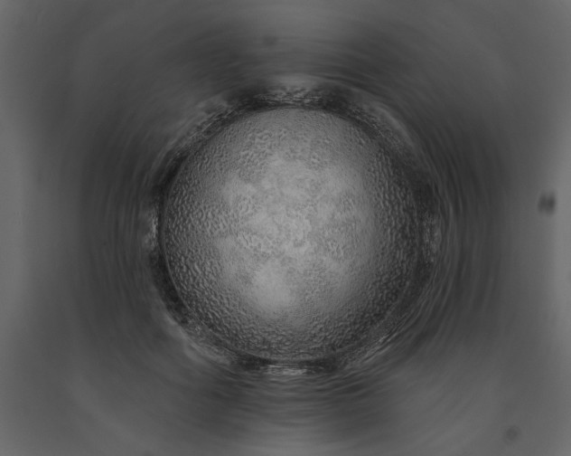X0000091230602200708231656