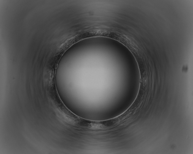 X0000091230605200708231656