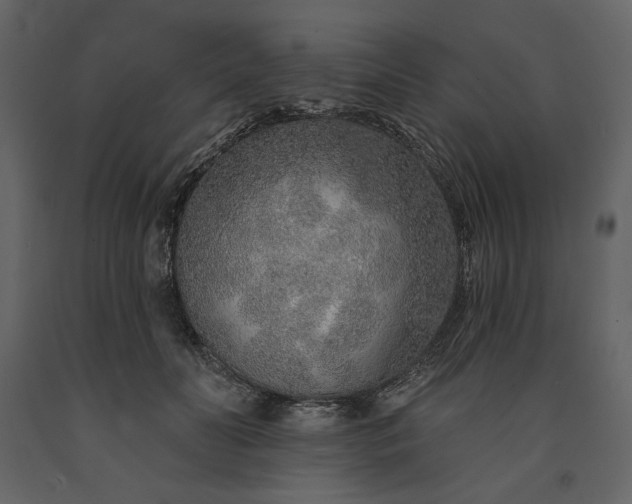 X0000091230606200708231656