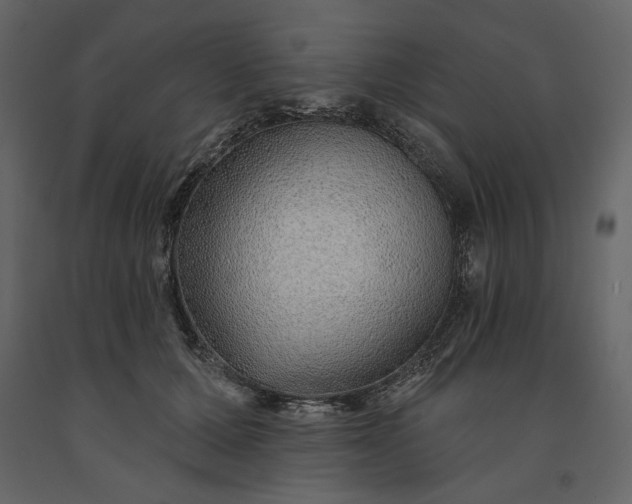 X0000091230607200708231656