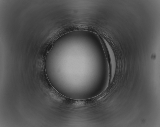 X0000091230609200708231656