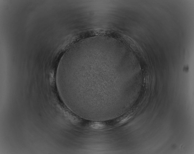 X0000091230610200708231656