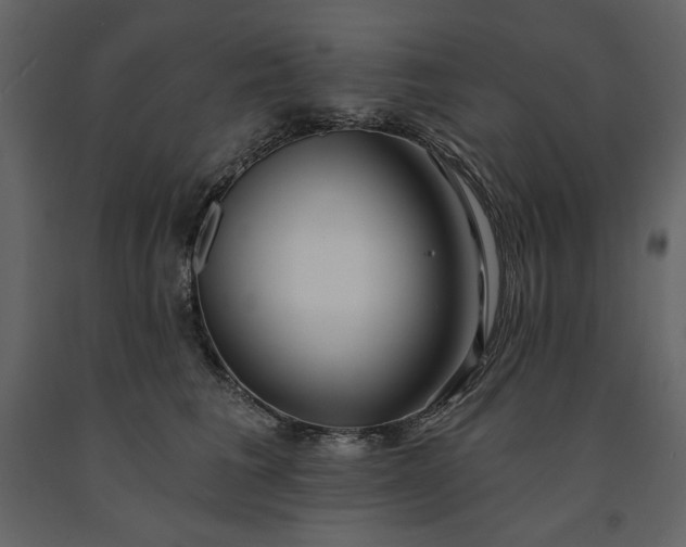 X0000091230613200708231656