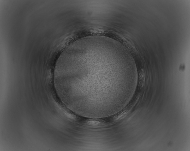 X0000091230614200708231656