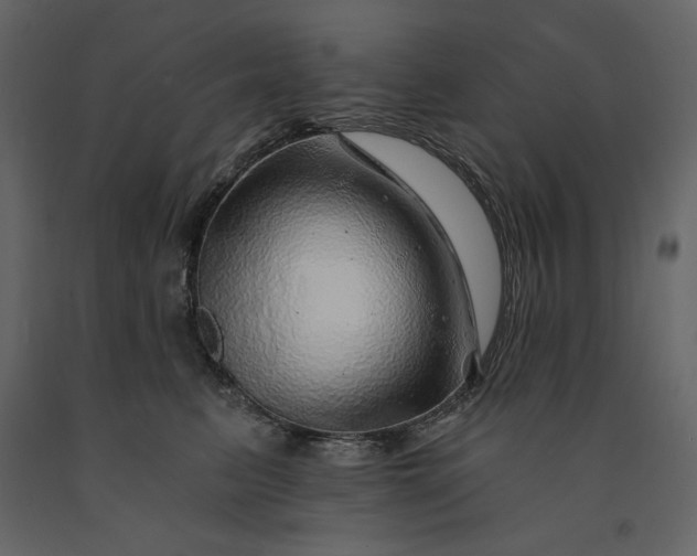 X0000091230615200708231656