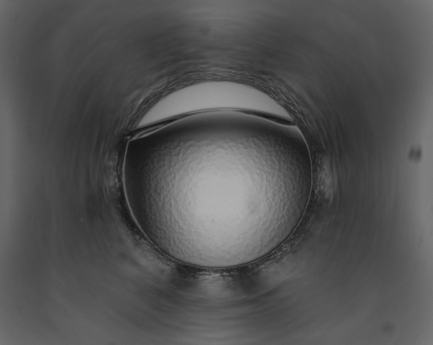 X0000091230616200708231656