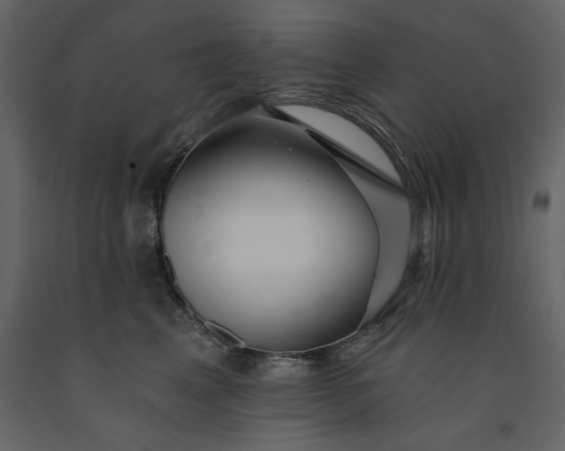 X0000091230617200708231656