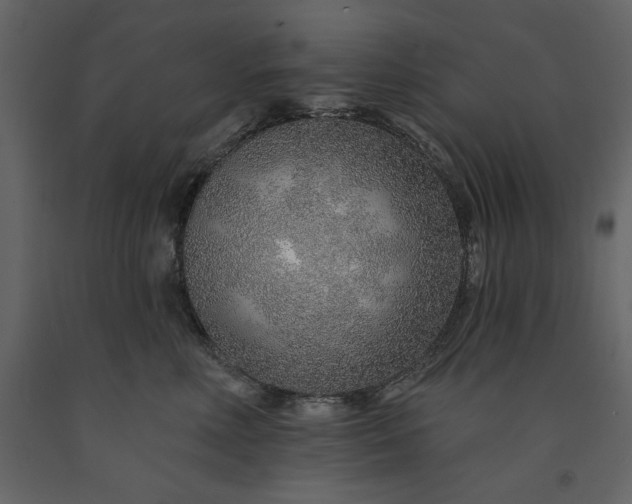 X0000091230618200708231656