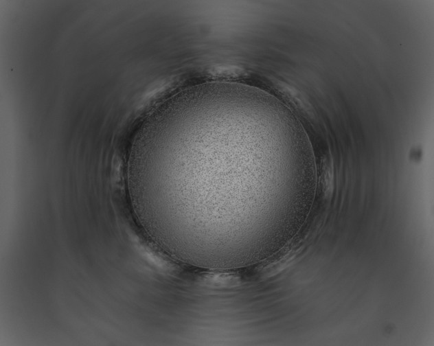 X0000091230619200708231656