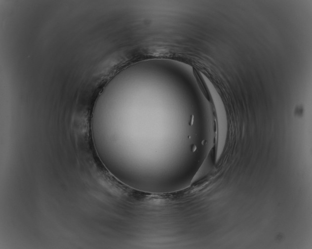 X0000091230620200708231656
