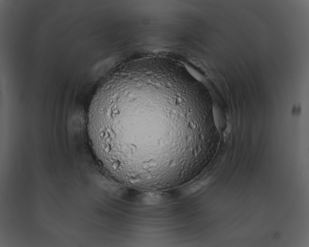 X0000091230623200708231656