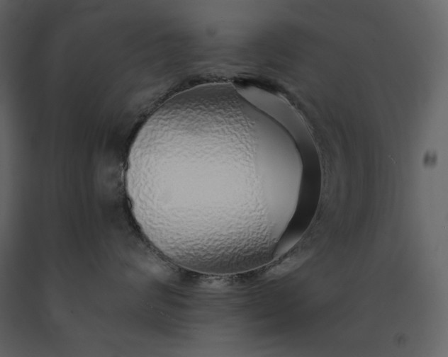 X0000091230624200708231656