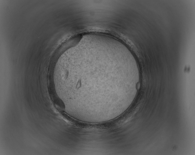 X0000091230625200708231655