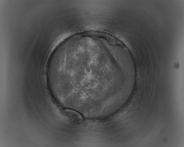 X0000091230626200708231655
