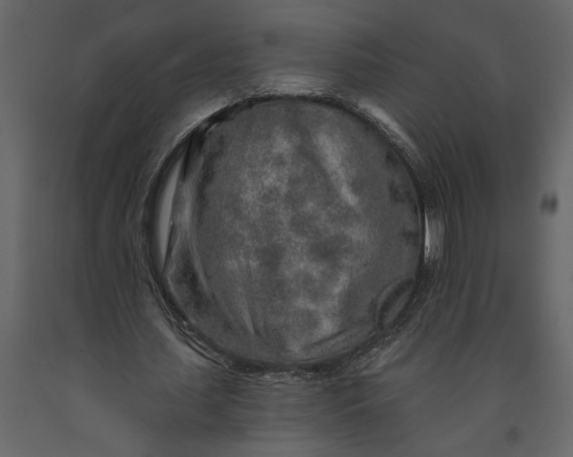 X0000091230627200708231655