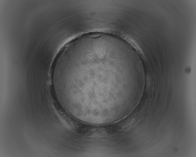 X0000091230628200708231655