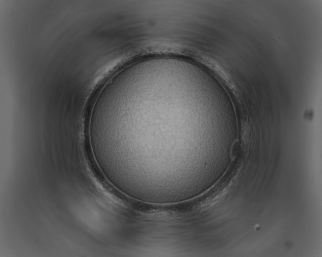 X0000091230629200708231655