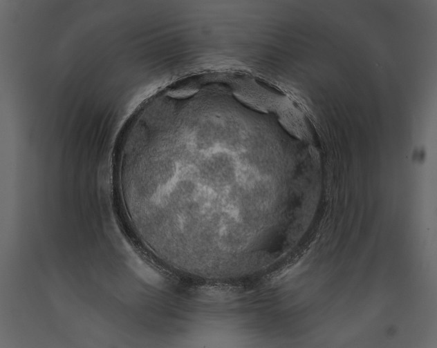 X0000091230630200708231655