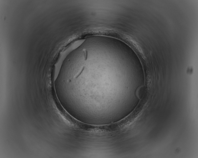 X0000091230633200708231655