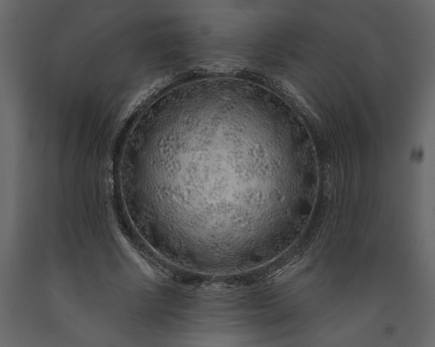 X0000091230634200708231655