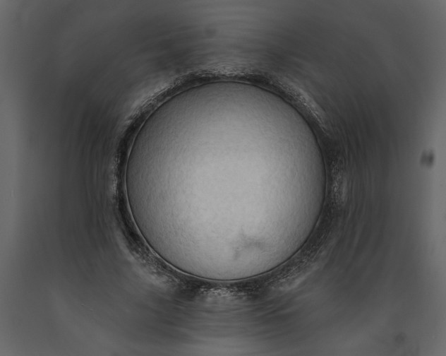 X0000091230635200708231655