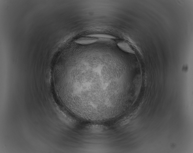 X0000091230637200708231655