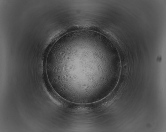 X0000091230638200708231655