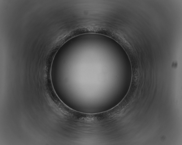 X0000091230639200708231655
