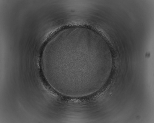 X0000091230640200708231655