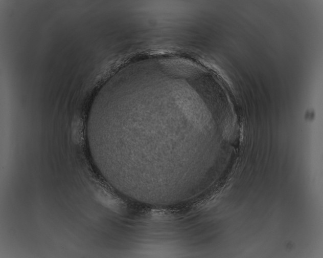 X0000091230641200708231655