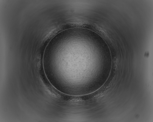 X0000091230642200708231655