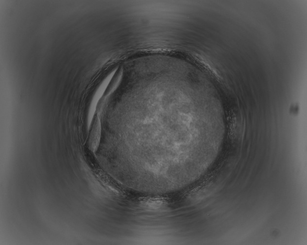 X0000091230643200708231655
