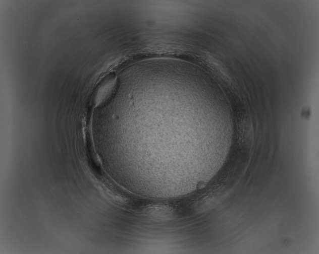 X0000091230644200708231655