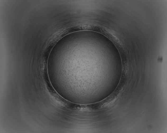 X0000091230645200708231655