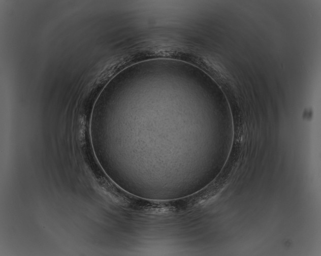 X0000091230646200708231655